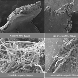 Bio-Compatible Scaffolds, Composites & Coatings