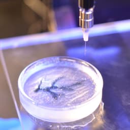 Bio-Compatible Scaffolds, Composites & Coatings