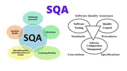 Software Solutions